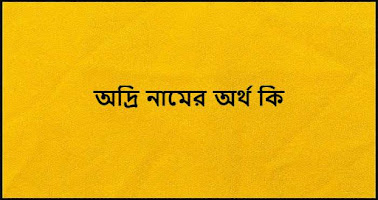 অদ্রি নামের অর্থ কি