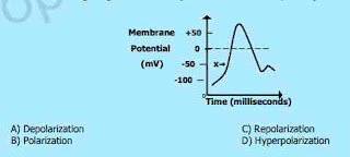 BIOLOGY PAST PAPER 2015 MCQS WITH ANSWERS QUIZ ONLINE PART3