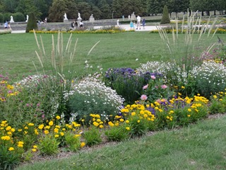 2015.08.08-113 le grand parterre
