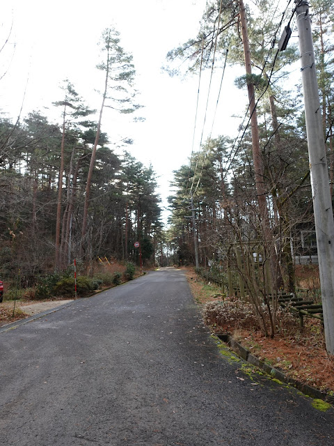 ロイヤルシティ大山の別荘地