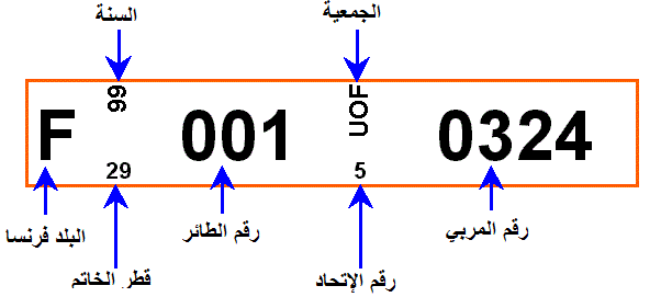 خاتم فرنسا