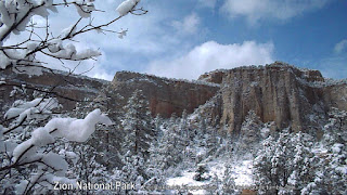 Zion National Park - Beautiful Snow on Peaks and Trees