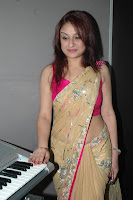 Sonia, In, Designer, Saree