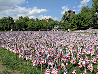 Flag garden on Boston Common for Memorial Day