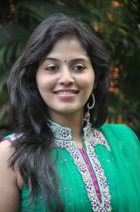 anjali at aravaan press meet