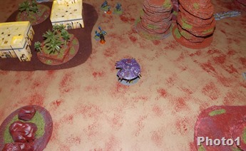 DSCF7288