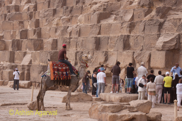 Cairo Pyramid - Tourists and a camel at the base of the Great Pyramid in Giza