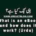 What is an eBook and how does it work? (Urdu)