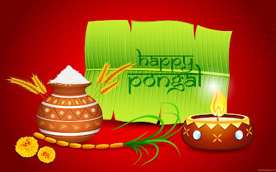 pongal-festival-also-known-as-makar-sankrant