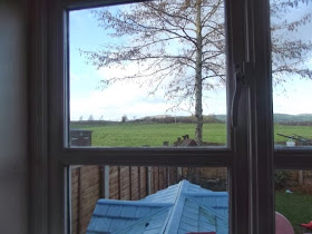 kitchen window view