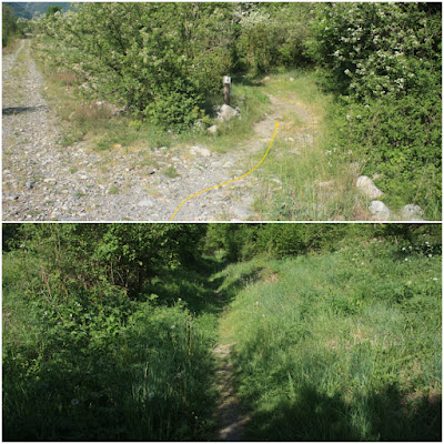 Ruta del Romànic de la Vall de Boí; Camí d'Erill a Barruera