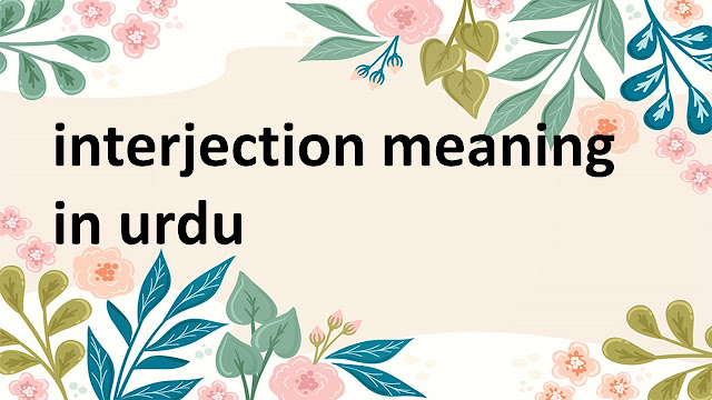 Interjection meaning in urdu