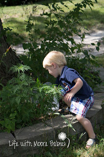 Searching for clues Police Community Helper