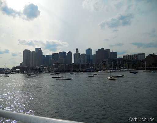 11. boston Skyline-kab