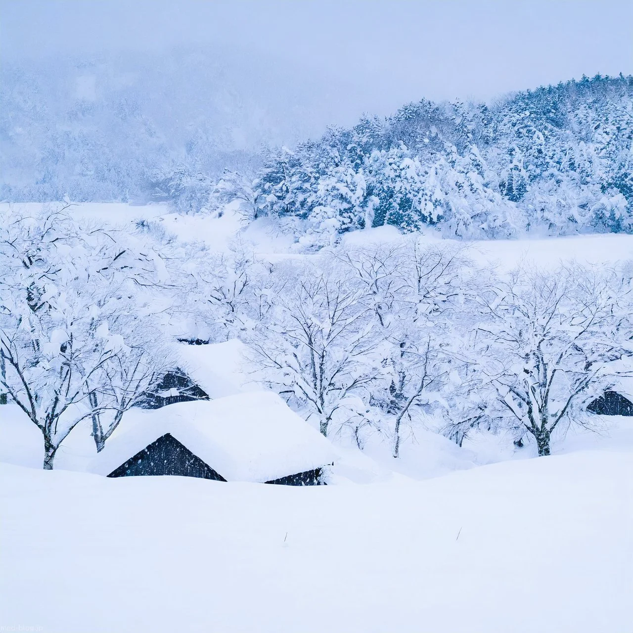日本の北国の田舎地帯で、冬に豪雪が降りあたり一面にうず高く雪が積もっている写真.jpg (1280×1280)