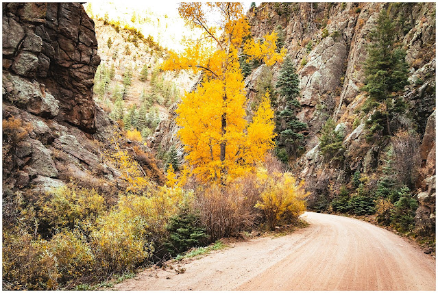 Phantom Canyon Road