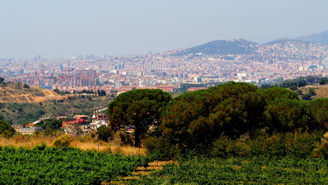 do terra alta, do alella, wijntoerisme catalonië, wijnkathedraal, art-nouveau wijnhuizen, via verde de la terra alta, la fontcalda, pinell de brai, wijn, wijntoerisme, gandesa, adernats, nulles, cesar martinell, do tarragona, do montsant, celler maisrog, cava, catalaanse wijnen, spaanse wijnen, alta alella mirgin,