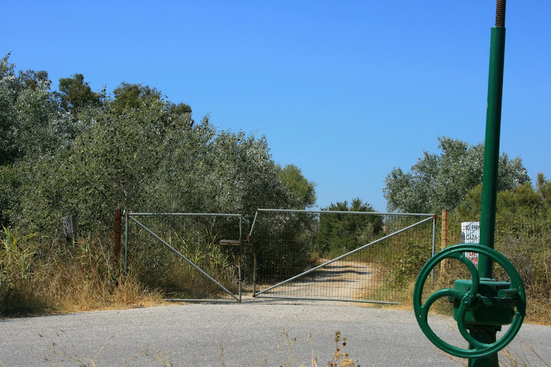 Puertas en el campo