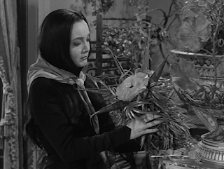 Morticia seeking comfort from her meat-eating plant Cleopatra.