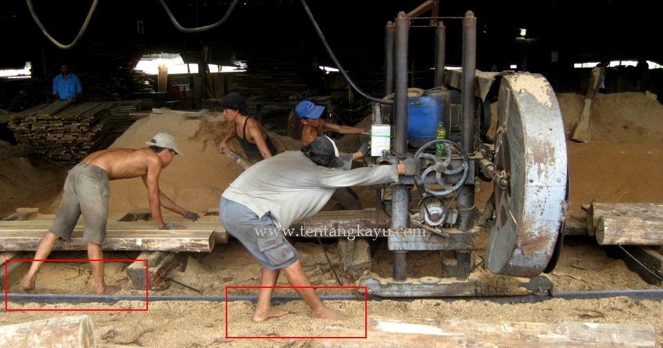 Standar Keselamatan Menggunakan Mesin  Kayu Tentang Kayu