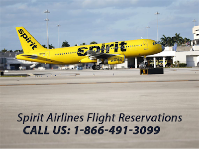 Spirit Airlines Flights & Deals