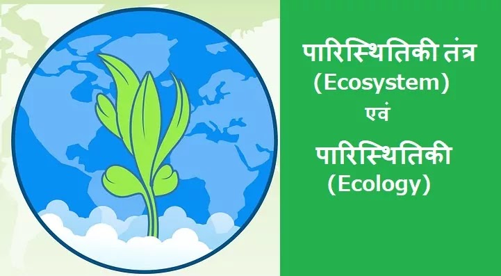ecosystem-and-ecology