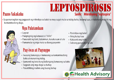DOH Leptospirosis Advisory