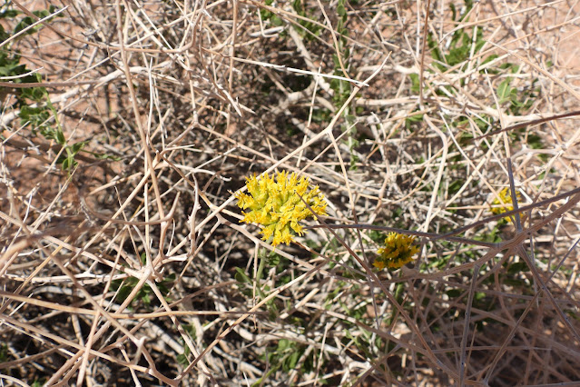 Lake Mead National Recreation Area