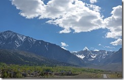 Sierra's along 395 headed north to Carson City