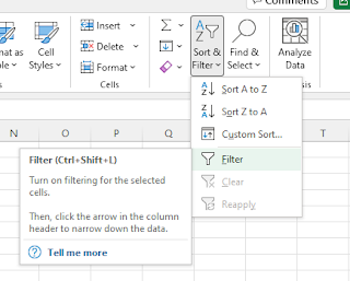 AutoFilter in Excel