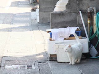 193dev-DSCF0522