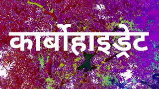 कार्बोहाइड्रेट्स किसे कहते है(Carbohydrate) । इस के प्रकार । फायदे । लाभ । उचित मात्रा