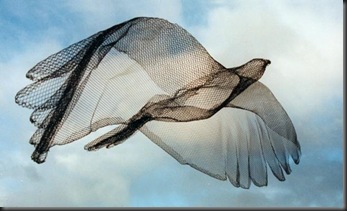 w Vuelo 1990