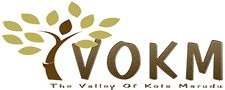 TVOKM