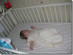 IMG_0949 IMG_0949