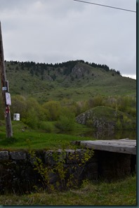 DSC_3446