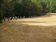 Creuant un gran camp de cereals després de l'aqüeducte