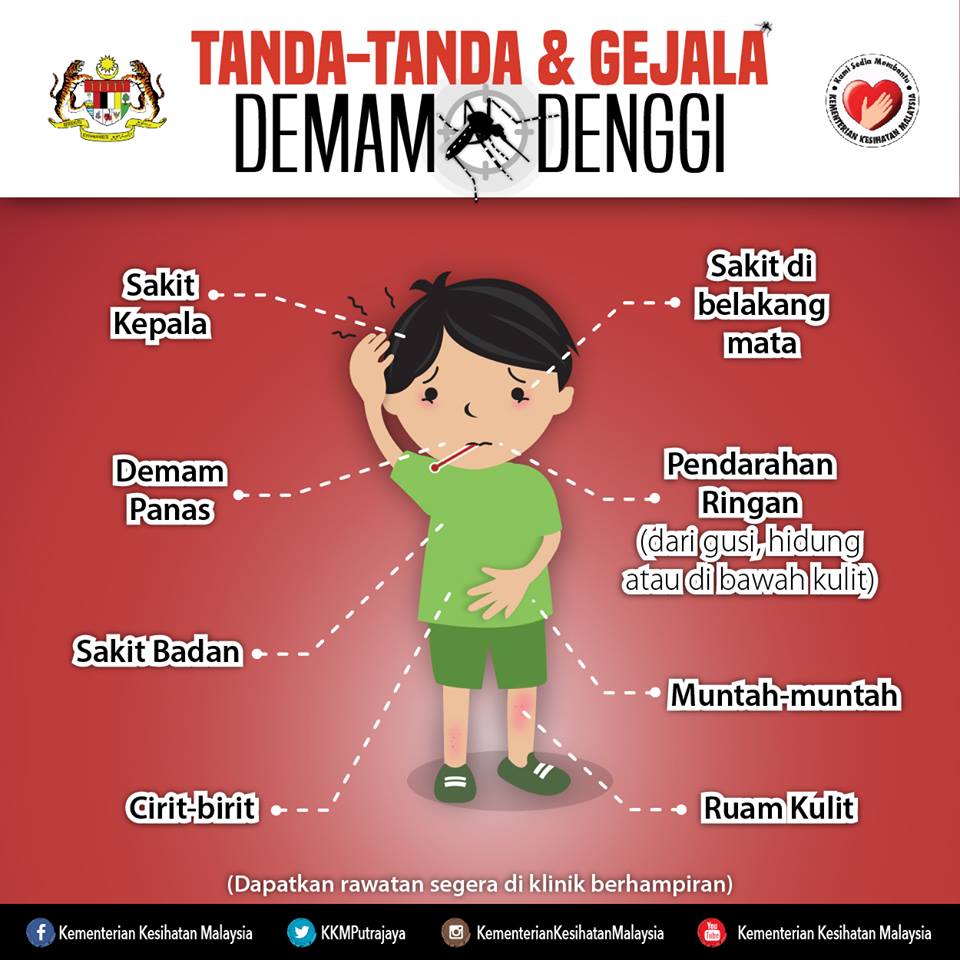 Diari Ibu Anak Istimewa: Bolehkah ibu demam denggi 