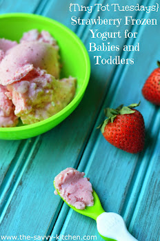 {Tiny Tot Tuesdays} Strawberry Frozen Yogurt for Babies and Toddlers