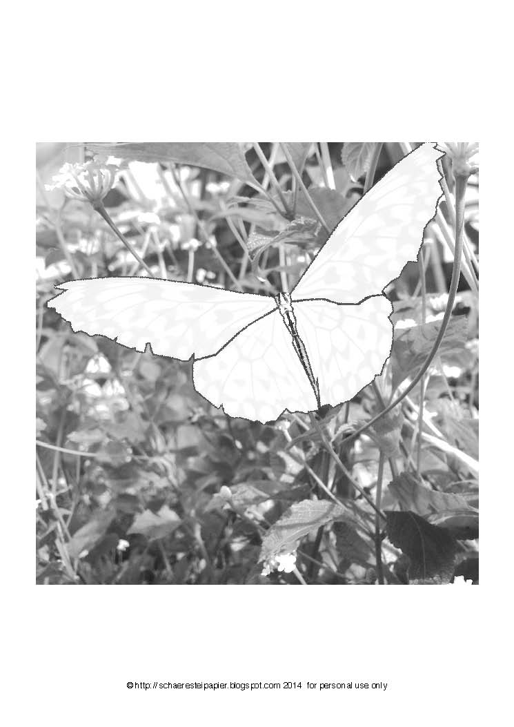 malvorlagen schmetterlinge - Malvorlagen Schmetterlinge Kostenlos - Malbuch