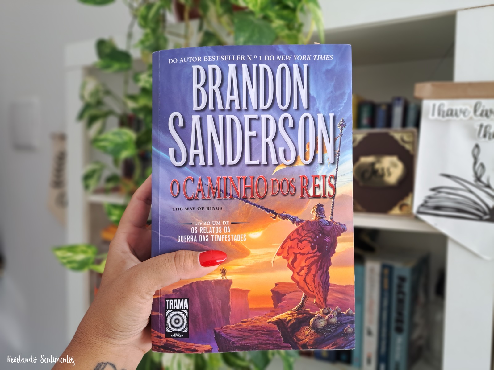 Resenha: O Caminho dos Reis (Os Relatos da Guerra das Tempestades vol. 1)  de Brandon Sanderson