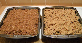 Two Baking Pans with Two Toppings
