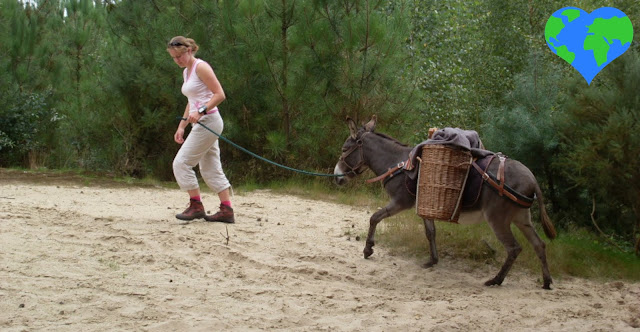 Picture of Erlijn walking with a donkey