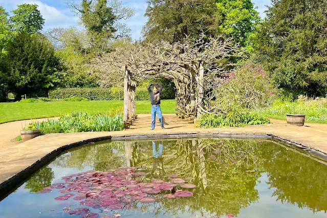 An oak arbour with wisteria on (not in bloom) and a small pond