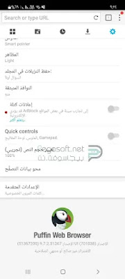 بديل برنامج Puffin