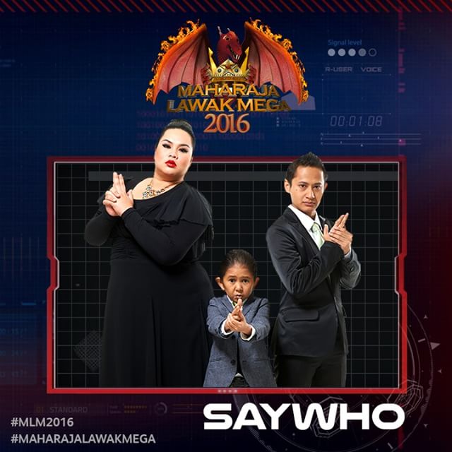 SAYWHO MLM 2016