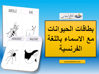 بطاقات الحيوانات مع الاسماء باللغة الفرنسية