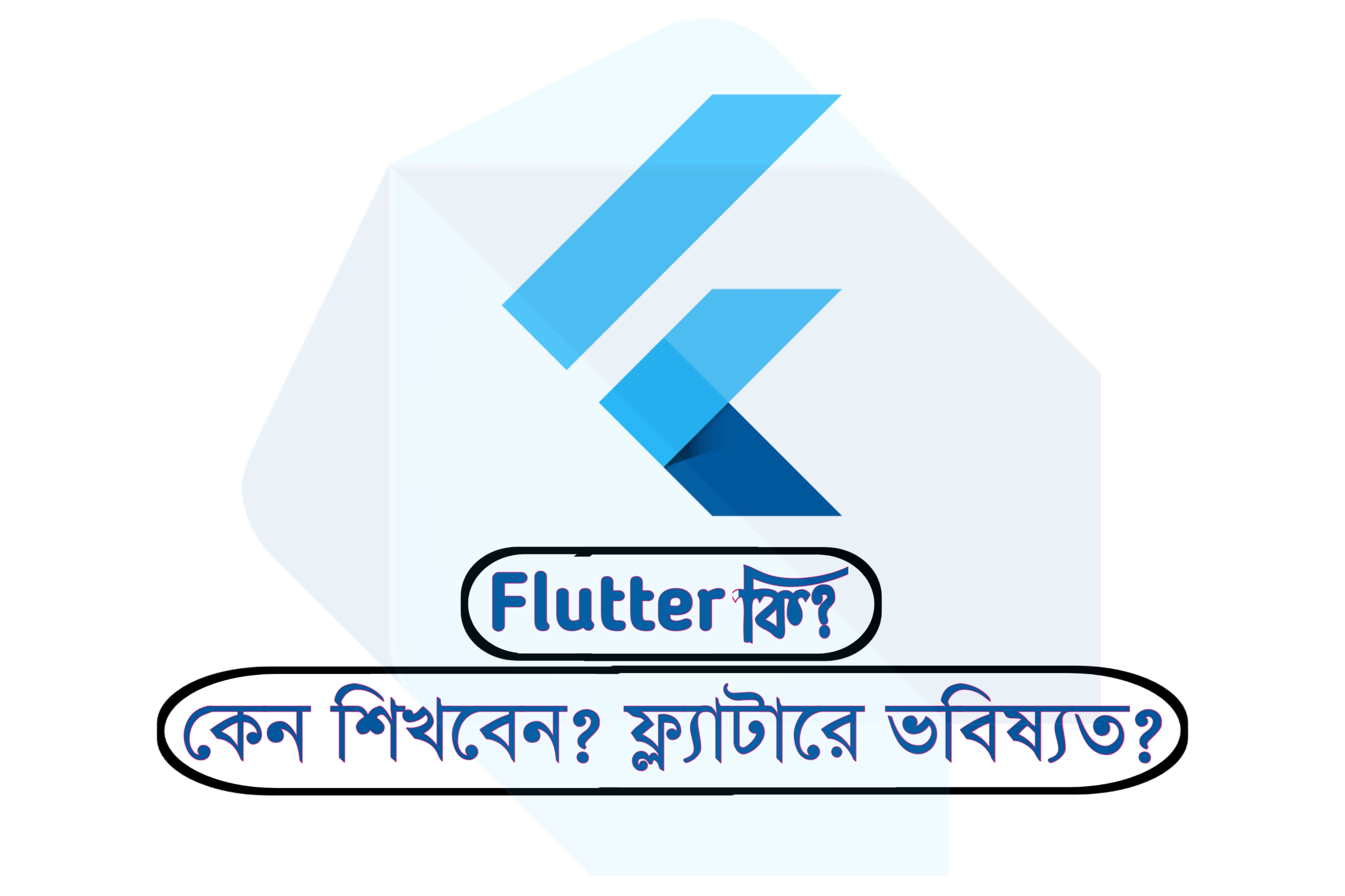 Flutter Bangladesh