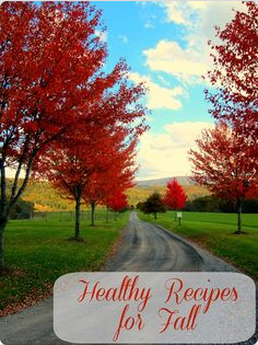  Healthy fall recipes from Pinterest