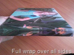 CAM01431